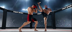 A crowded UFC Arena.